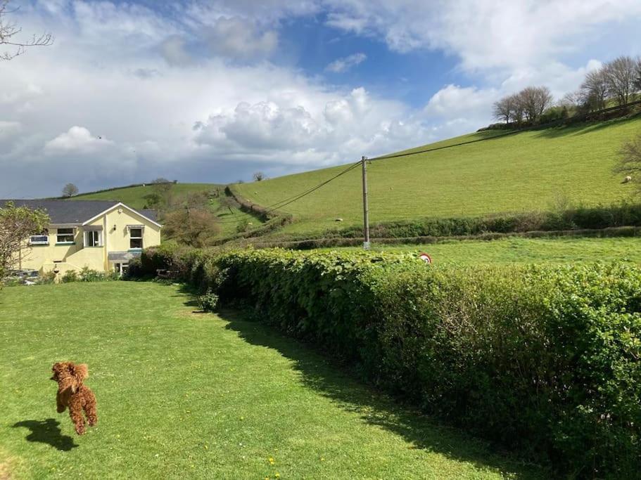 Charming Countryside Cottage Ground Floor Apartment In Combeinteignhead Devon Bishopsteignton Екстериор снимка